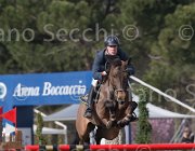 Wiering World Wide TosTour 2013- S5 7487 : Arezzo Equestrian Centre, Toscana Tour 2013, Wiering Harrie, World wide, foto di Stefano Secchi ©